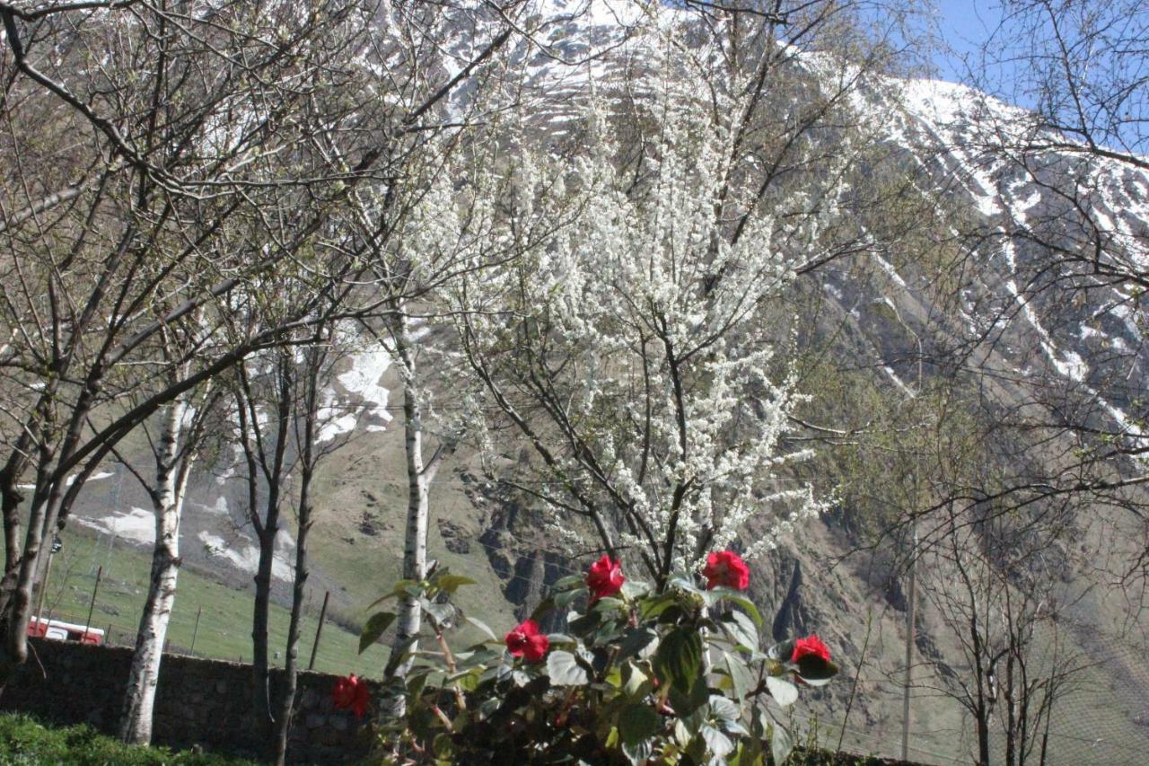 Gio-Nika Hotel Kazbegi Exterior foto